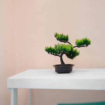 Il Frutteto 49 Villa